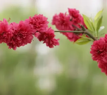 32229159 – Er det spam?