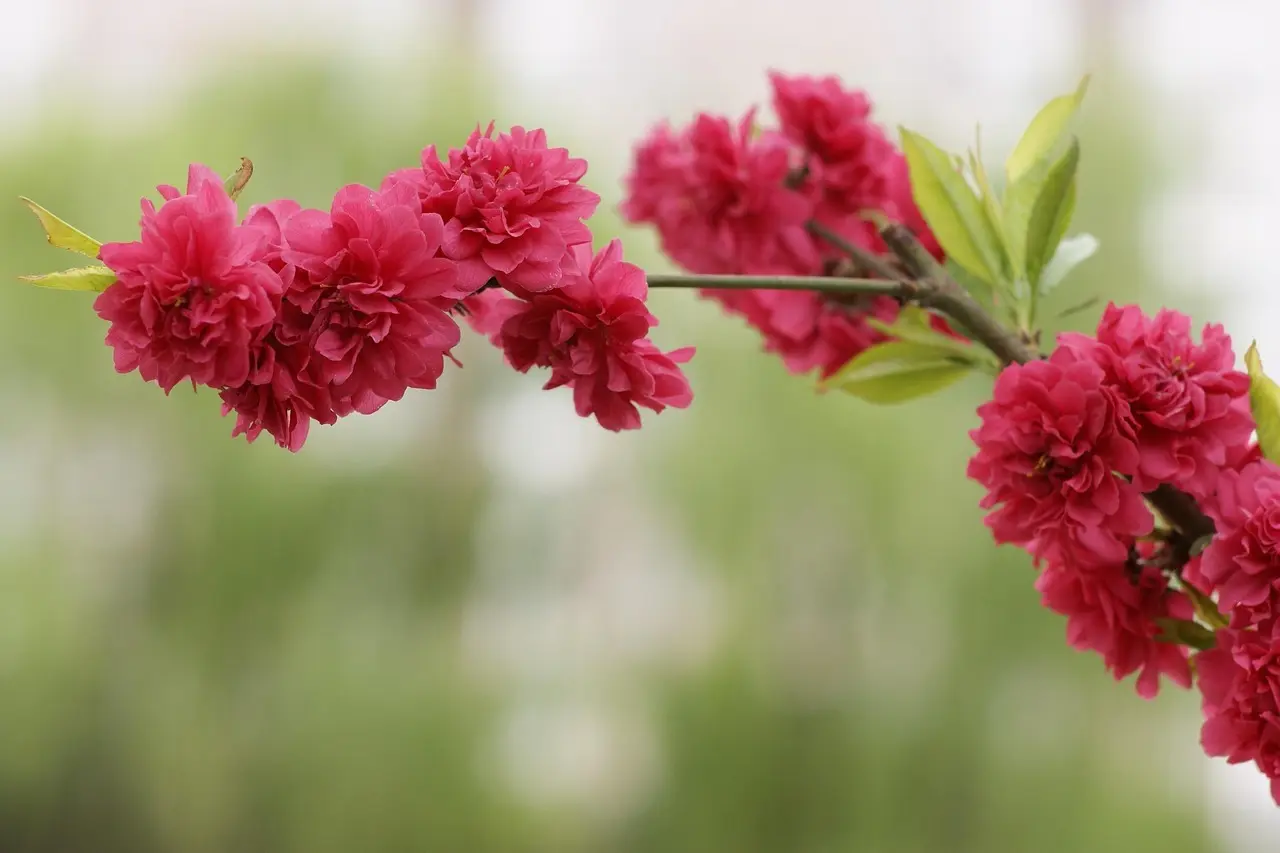 32229159 – Er det spam?