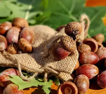 Hjemme hos en møbelsnedker i Kolding med egetræ og hør