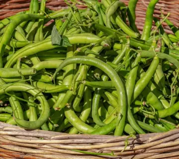 Hvordan får jeg fibernet? 7 enkle trin til lynhurtigt internet i dit hjem