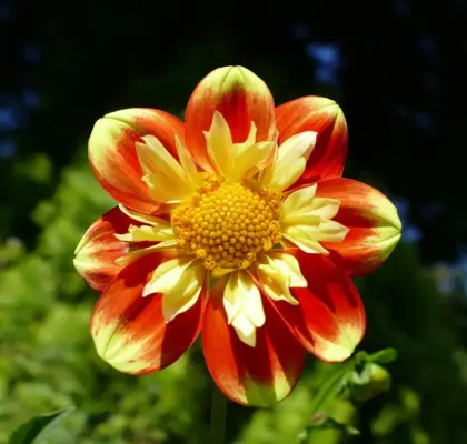 Mal små rum i to toner for et visuelt løft af loftet