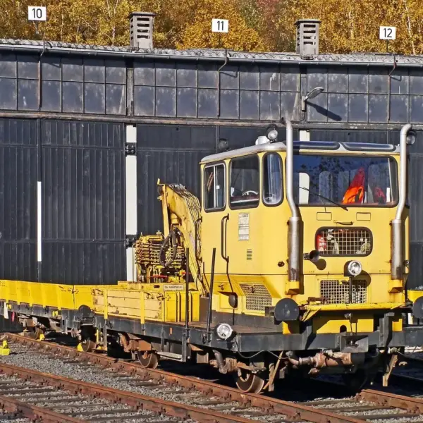 Medvirkende i De Skrigende Halse