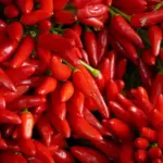 Medvirkende i Love Is Blind