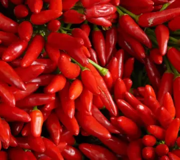 Medvirkende i Love Is Blind