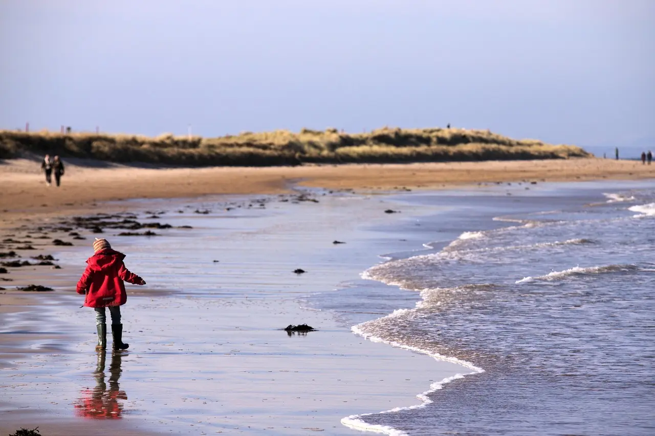 Medvirkende i Pendlerkids