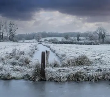 Sådan anlægger du et præriebed i sandjord