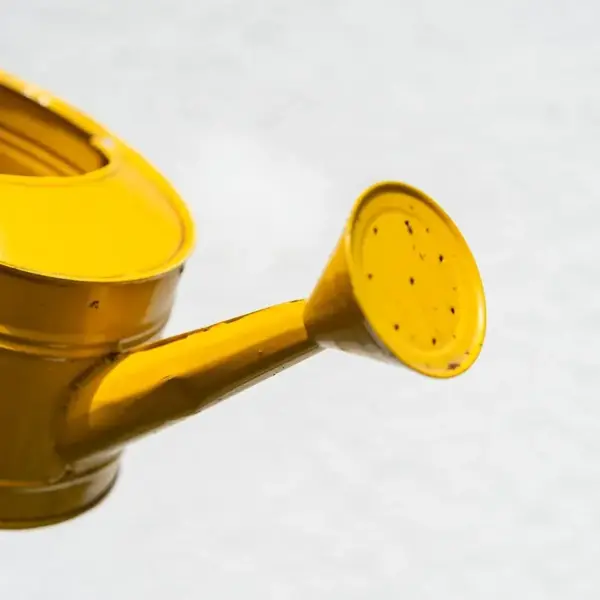 Sådan får du krukkesommer uden daglig vanding