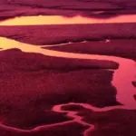 Telefonnummer 76259728 – Hvem ringer?