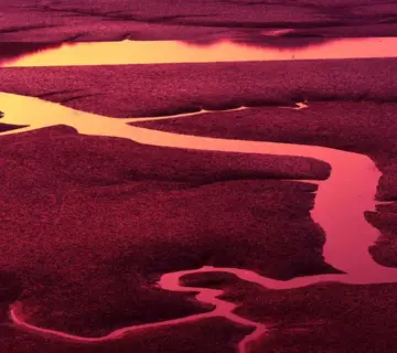 Telefonnummer 76259728 – Hvem ringer?