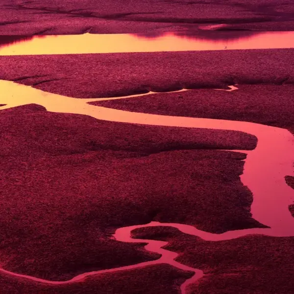 Telefonnummer 76259728 – Hvem ringer?