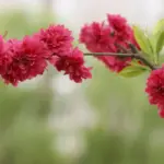 Ukendt opkald fra telefonnummer 82 30 30 40 – Tag den?